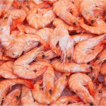 Di_Dio_Mercato_Scampi-1030x688